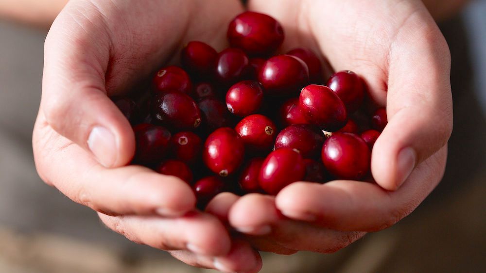 5 красных продуктов, которые должны быть на вашей тарелке
